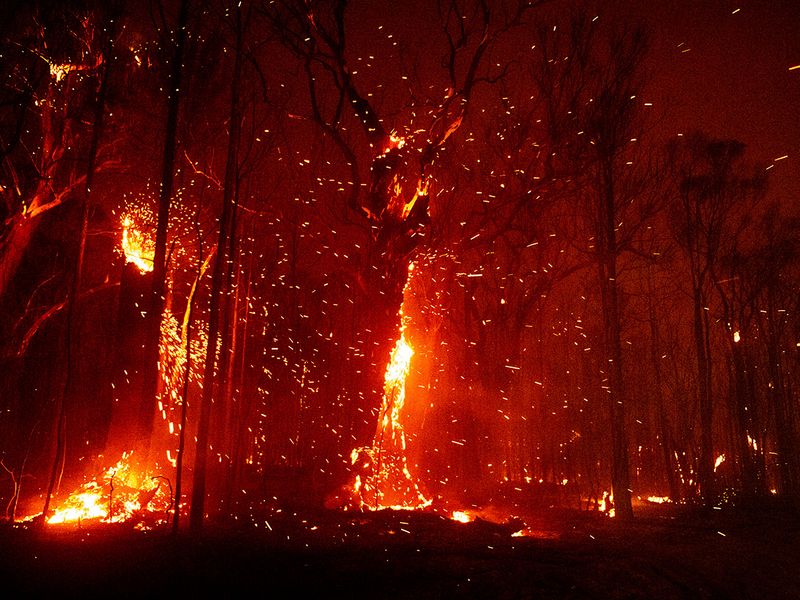 aus fire1